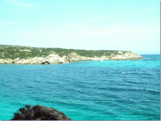 Sardegna073.jpg