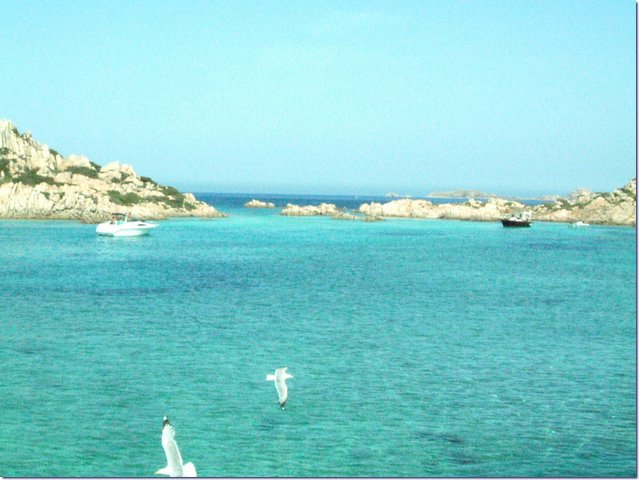 Sardegna106.jpg