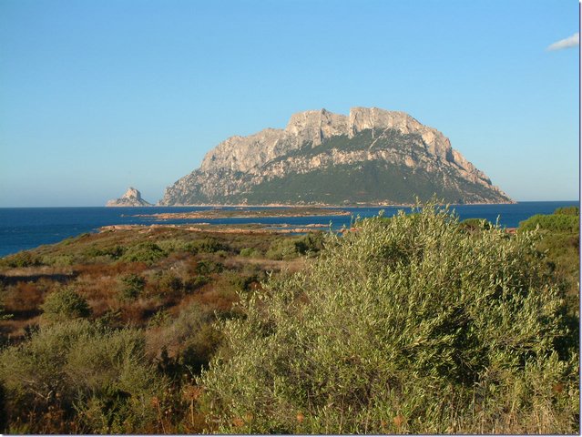 Sardegna276.jpg