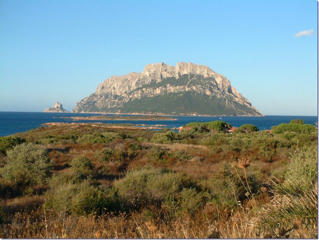 Sardegna277.jpg