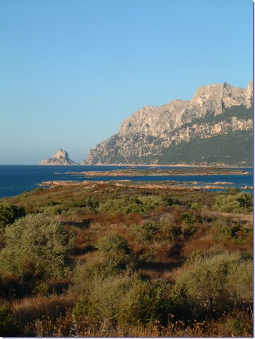 Sardegna279.jpg