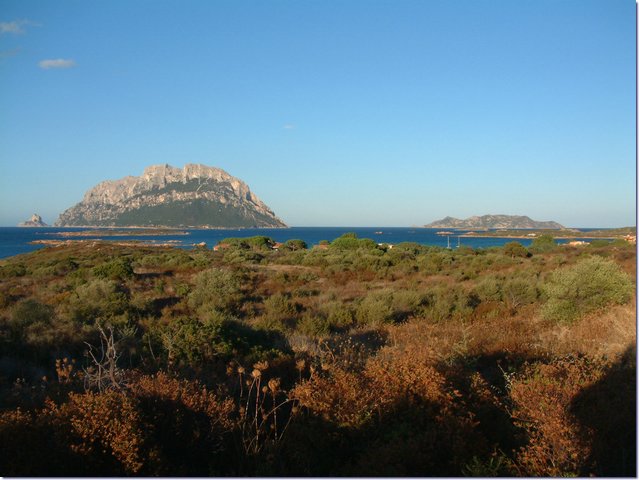 Sardegna280.jpg