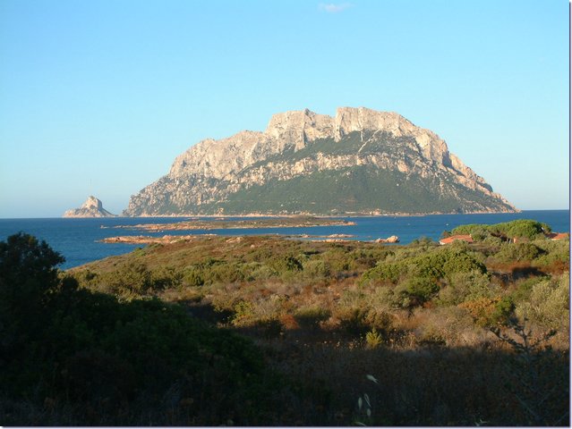 Sardegna283.jpg