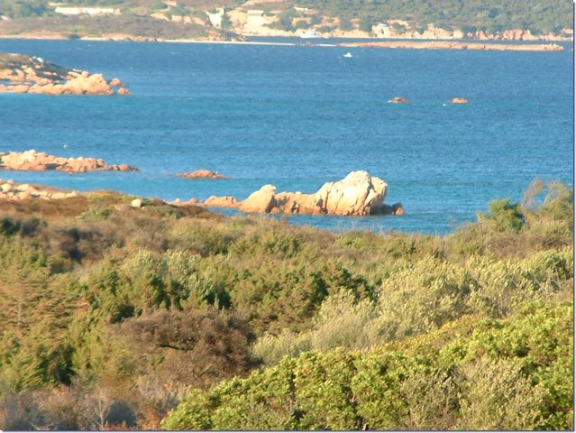 Sardegna284.jpg